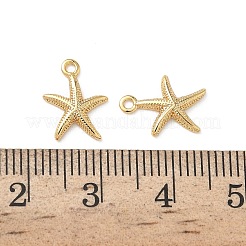 Brass Charms&nbsp;KK-Z136-59G