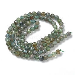 Natural Green Apatite Beads Strands&nbsp;G-L651-C08-4mm