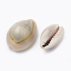 Natural Cowrie Shell Beads&nbsp;X-SSHEL-T004-04