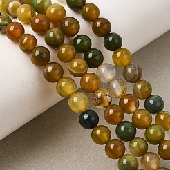 Natural Striped Agate/Banded Agate Beads Strands&nbsp;G-Z060-A01-A18