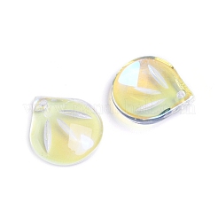 Transparent Glass Charms&nbsp;GLAA-H016-05E-22