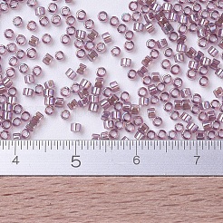 MIYUKI Delica Beads Small&nbsp;X-SEED-J020-DBS0173