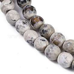 Natural Fire Crackle Agate Beads Strands&nbsp;G-C082-A01-42