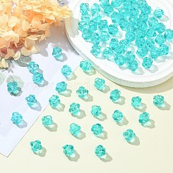Transparent Acrylic Beads&nbsp;TACR-S154-20A-68
