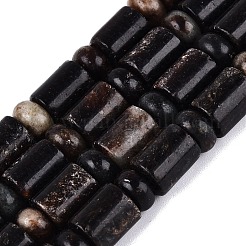 Natural Biotite Beads Strands&nbsp;G-Q616-09B