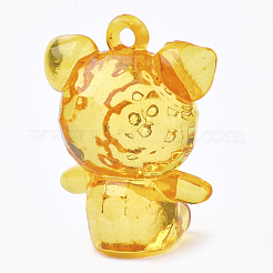 Transparent Acrylic Pendants&nbsp;TACR-S149-13