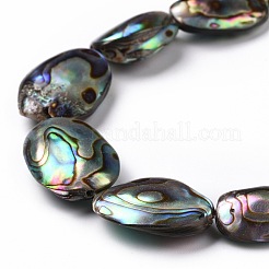 Natural Abalone Shell/Paua Shell Beads&nbsp;SSHEL-E379-1