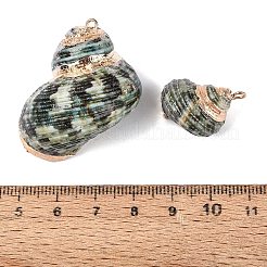 Electroplate Natural Spiral Shell Pendants&nbsp;SSHEL-Q100-55G