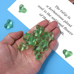 Transparent Acrylic Beads&nbsp;MACR-S373-70-B02