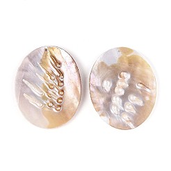Natural Freshwater Pearl and Freshwater Shell Big Pendants&nbsp;SHEL-T020-52