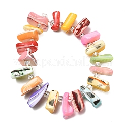 Dyed Natural Trochid Shell/Trochus Shell Beads Strands&nbsp;BSHE-A002-03B