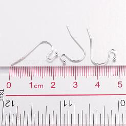 Brass Earring Hooks&nbsp;J0JQN-S
