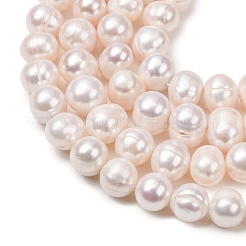 Natural Cultured Freshwater Pearl Beads Strands&nbsp;PA-CBABE82-13A
