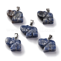 Natural Blue Spot Jasper Pendants&nbsp;G-B127-05P-11