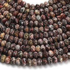 Natural Leopard Skin Jasper Beads Strands&nbsp;G-Z111-A23