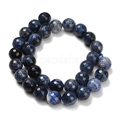 Natural Sodalite Beads Strands&nbsp;G-C280-B02-12mm