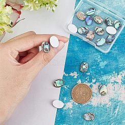 Natural Abalone Shell/Paua Shell Cabochons&nbsp;SSHEL-FH0001-01
