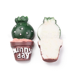 Resin Cabochons&nbsp;CRES-B001-11