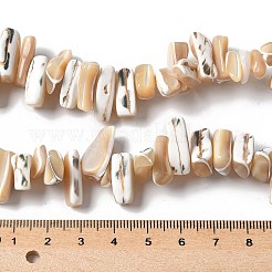 Dyed Natural Trochus Shell Beads Strands&nbsp;X-SSHEL-C013-09K