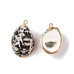 Natural Sea Shell Pendants&nbsp;SSHEL-N038-47