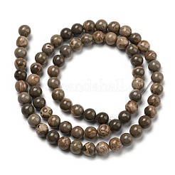 Natural Map Stone/Picasso Stone Beads Strands&nbsp;G-R494-A24-02