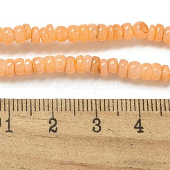 Dyed Natural Freshwater Shell Beads Strands&nbsp;X1-BSHE-G039-07A