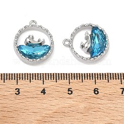 Alloy Glass Pendants&nbsp;FIND-B061-05P-A