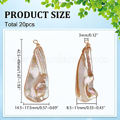 20Pcs Electroplated Natural Freshwater Shell Pendants&nbsp;PALLOY-WR00019