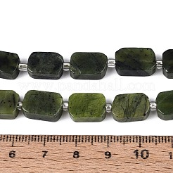 Natural Canadian Jade Beads Strands&nbsp;G-C098-A37-01