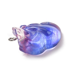 Gradient Color Resin Pendants&nbsp;RE-CBA5B90-02
