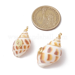 Natural Spiral Shell Pendants&nbsp;PALLOY-JF03316-02