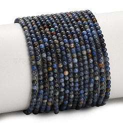 Natural Dumortierite Beads Strands&nbsp;G-Z116-A26-2mm