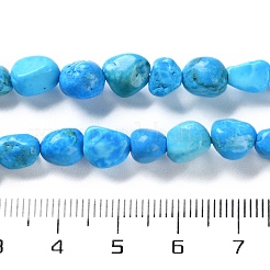 Natural Howlite Turquoise Beads Strands&nbsp;G-P497-01C-55