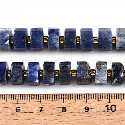 Natural Sodalite Beads Strands&nbsp;G-T140-26