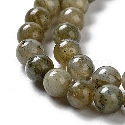 Natural Labradorite Beads Strands&nbsp;G-G065-A01-01