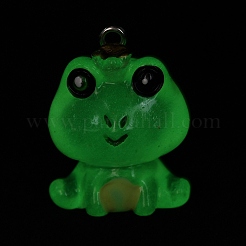 Luminous Transparent Resin Pendants&nbsp;LS-RESI-SZC0004-17F