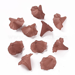 Transparent Acrylic Beads&nbsp;BSF796-C06