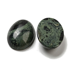 Natural Kambaba Jasper Cabochons&nbsp;G-C115-01A-22