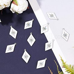 10Pcs 304 Stainless Steel Pendants&nbsp;STAS-NB0001-28