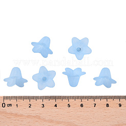 Transparent Acrylic Beads&nbsp;X-PLF018-06