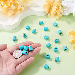 20Pcs Synthetic Turquoise Beads&nbsp;G-TA0003-40