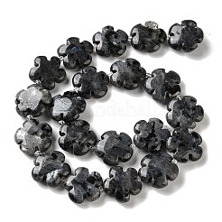 Natural Larvikite Beads Strands&nbsp;G-L241A-21
