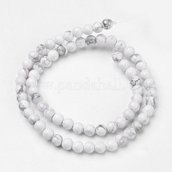 Natural Howlite Beads Strands&nbsp;G-D809-10-6mm