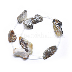 Natural Agate Beads Strands&nbsp;G-I213-14