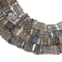 Natural Labradorite Beads Strands&nbsp;G-Z152-F04-02