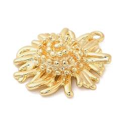 Brass Pendants&nbsp;KK-I380-13G