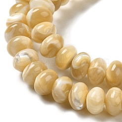 Natural Trochus Shell Beads Strands&nbsp;SHEL-K006-25A