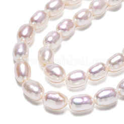 Natural Cultured Freshwater Pearl Beads Strands&nbsp;PEAR-N012-04G