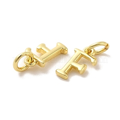 Brass Pendants&nbsp;KK-M273-03G-F