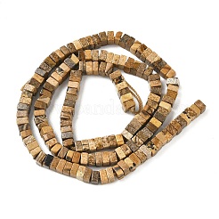 Natural Picture Jasper Beads Strands&nbsp;G-I394-A01